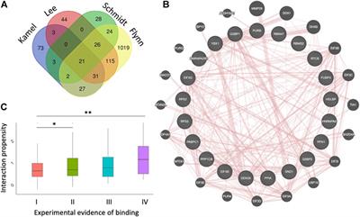 Phase Separation Drives SARS-CoV-2 Replication: A Hypothesis